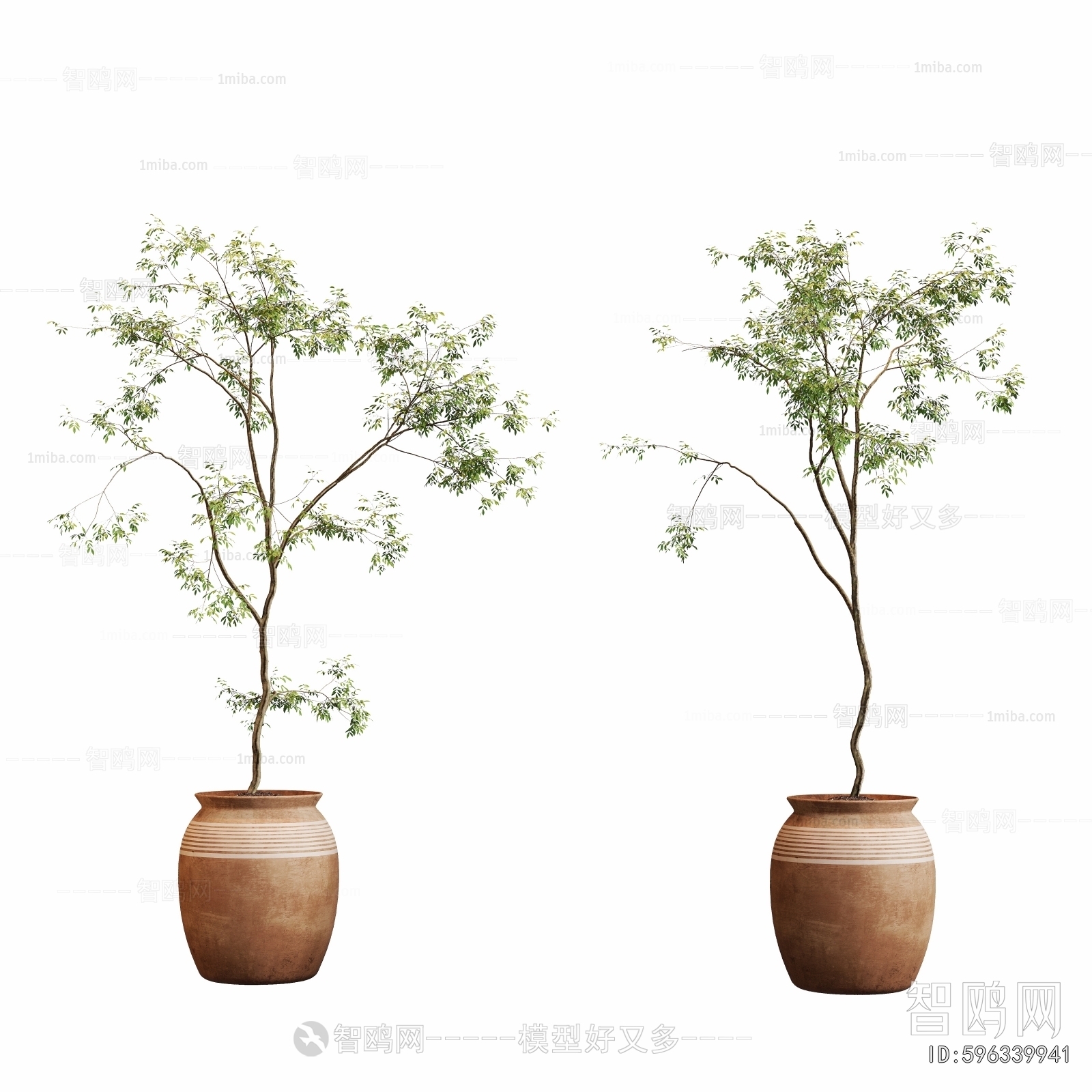 Modern Ground Green Plant Potted Plants