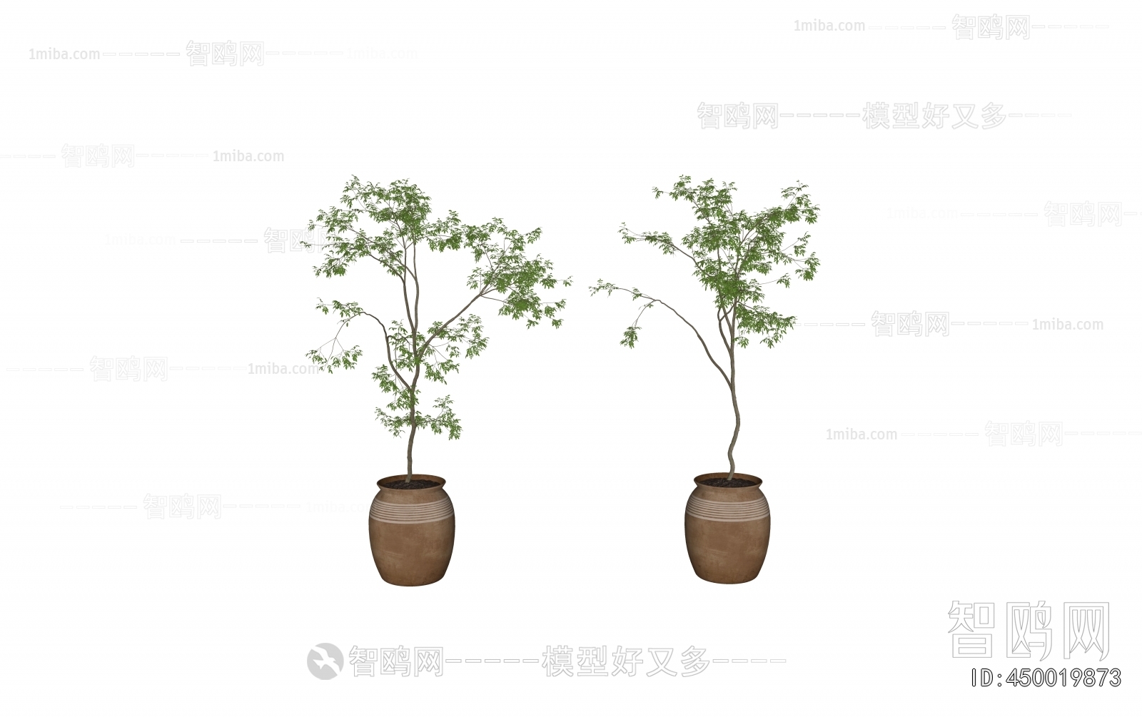 Modern Ground Green Plant Potted Plants