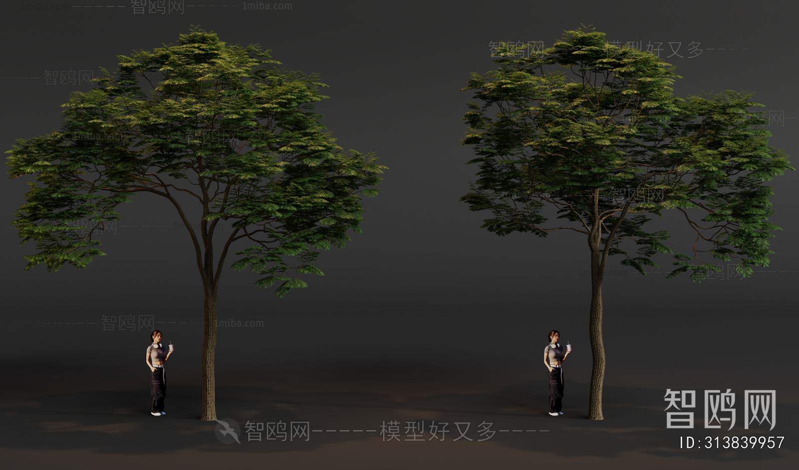 Modern Tree