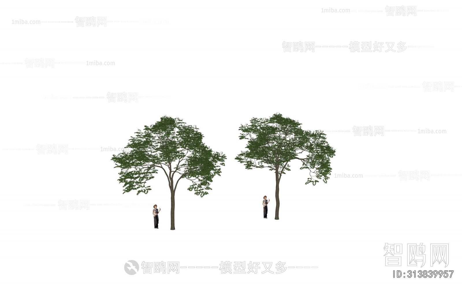 Modern Tree