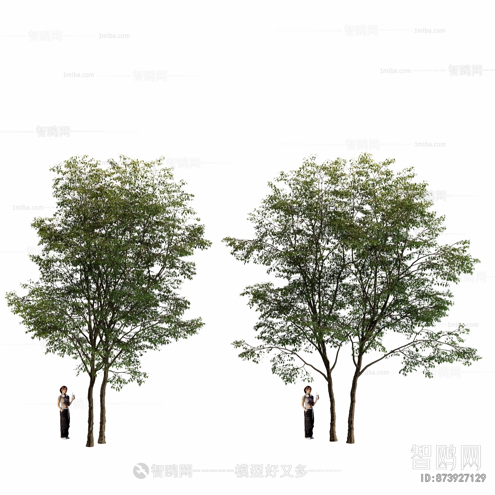 Modern Tree