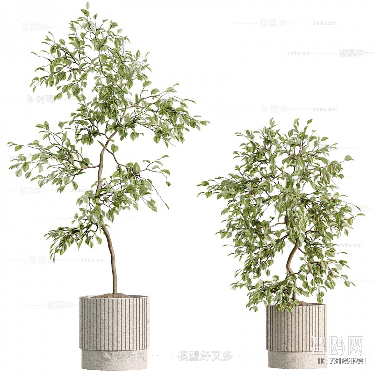 Modern Ground Green Plant Potted Plants