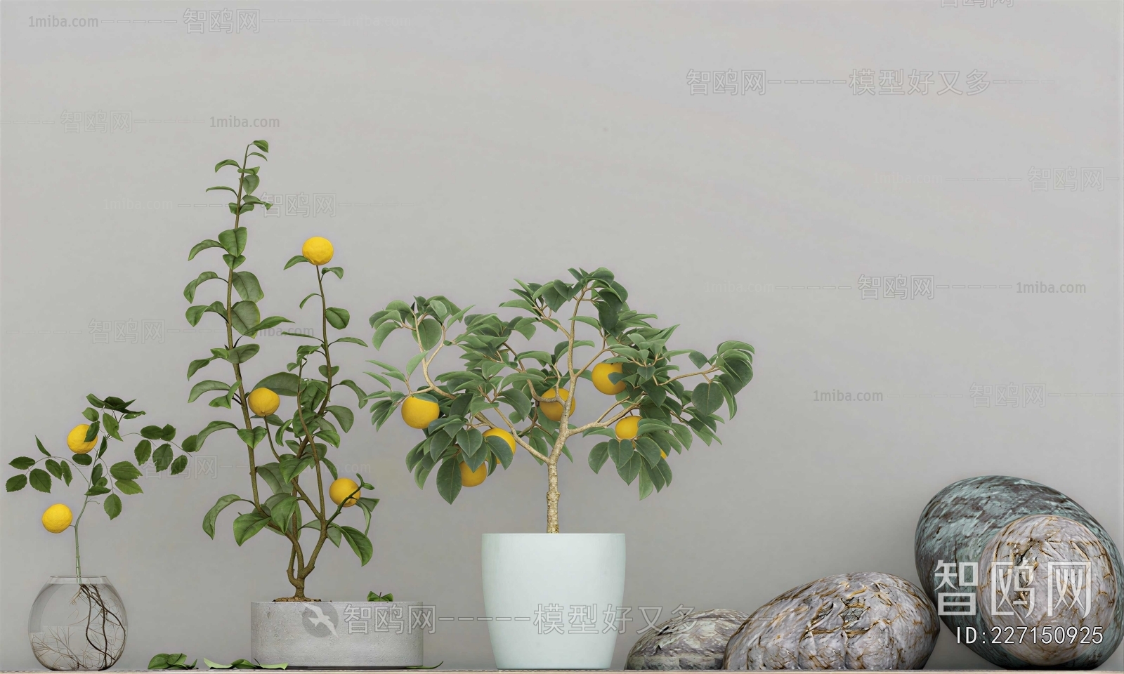Modern Ground Green Plant Potted Plants