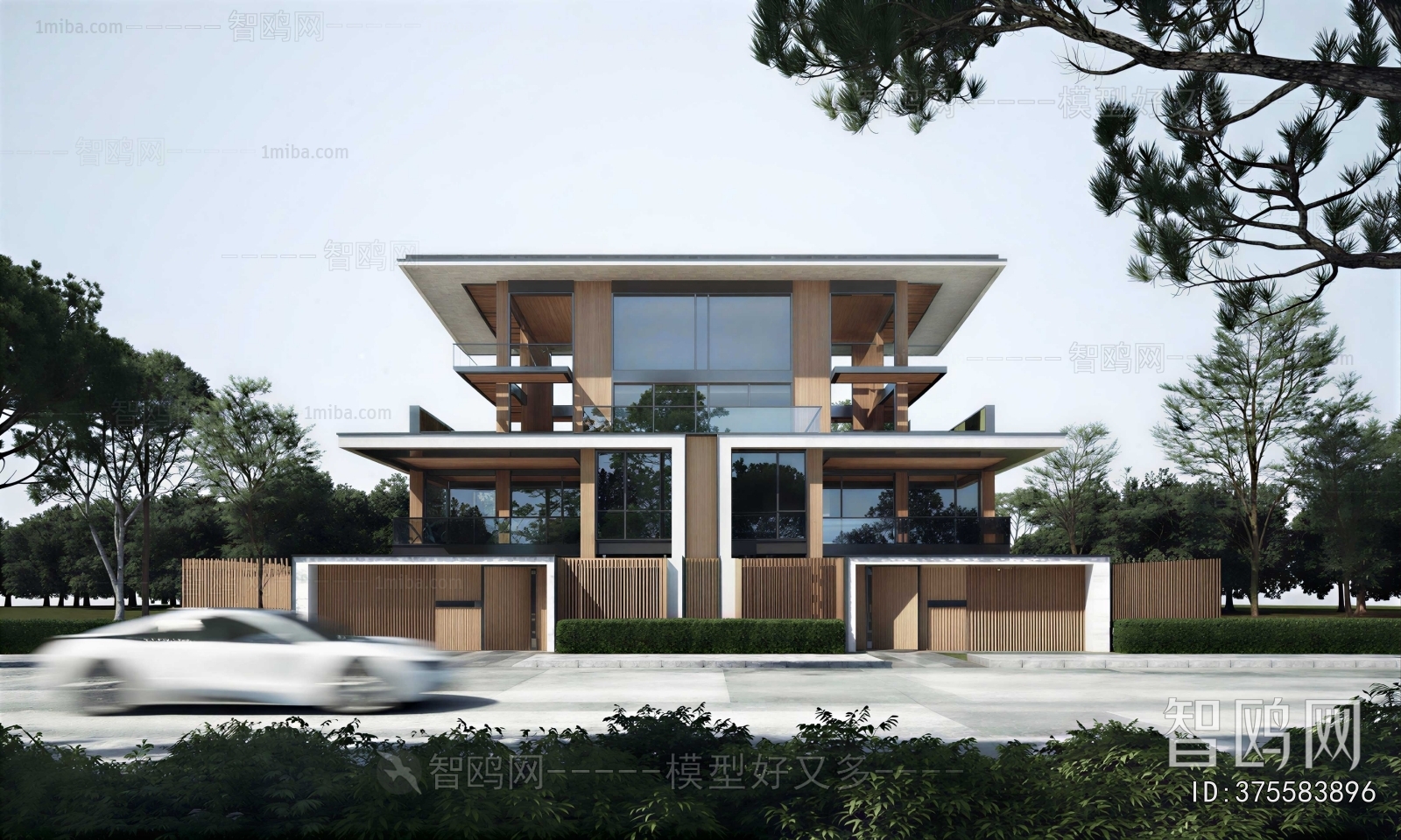 Modern Detached Villa