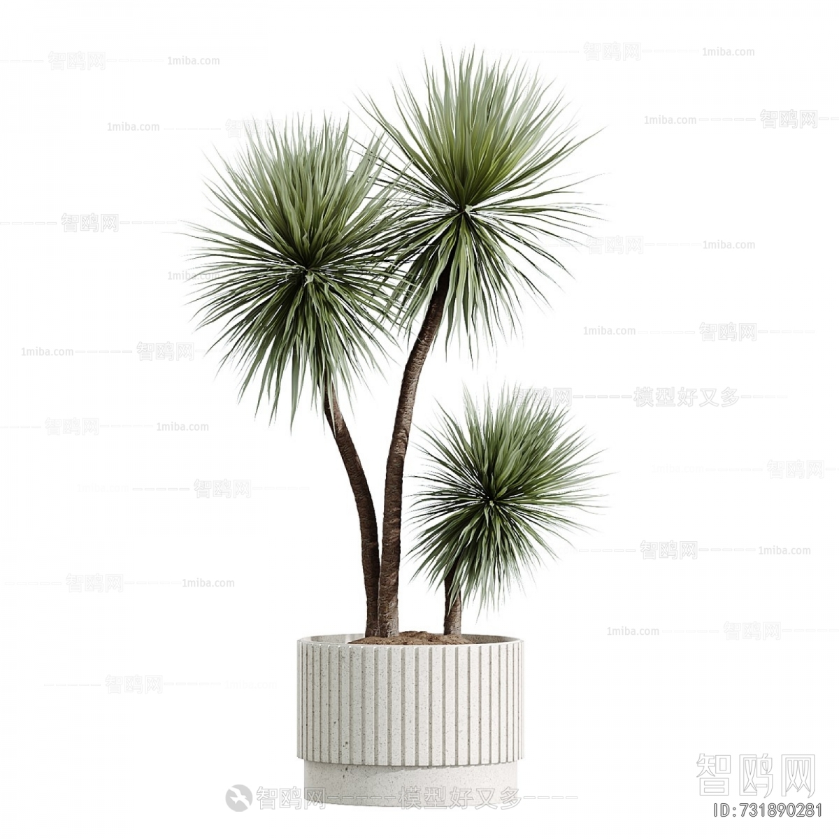 Modern Ground Green Plant Potted Plants