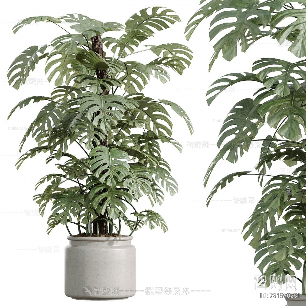 Modern Ground Green Plant Potted Plants