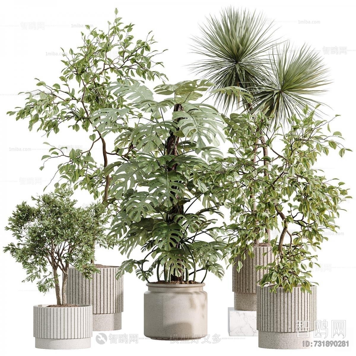 Modern Ground Green Plant Potted Plants