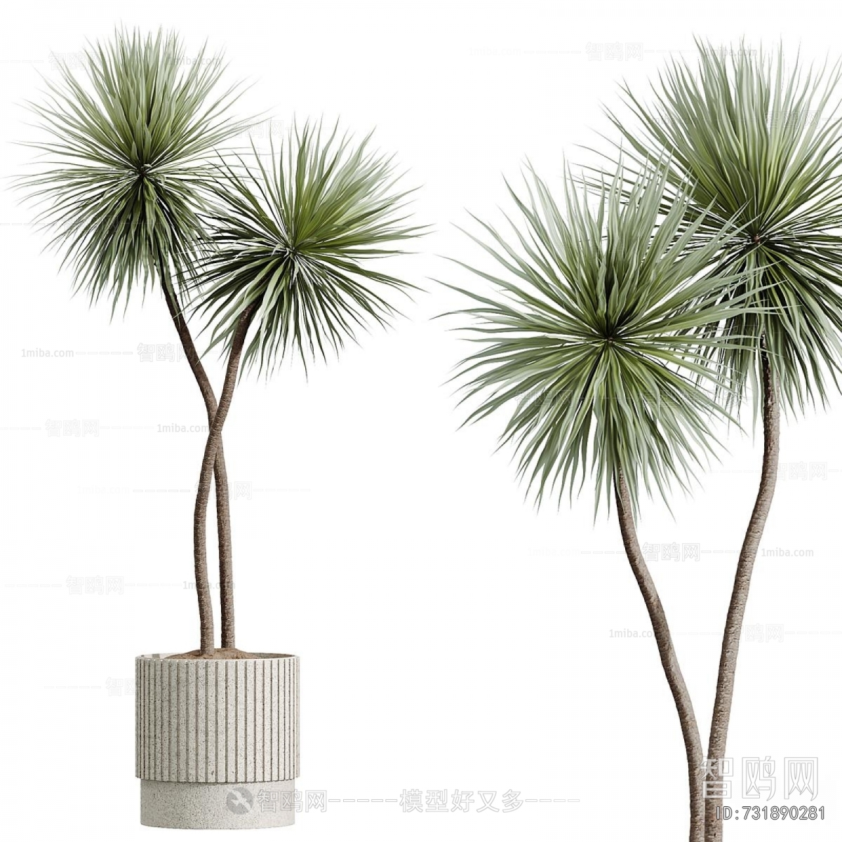 Modern Ground Green Plant Potted Plants