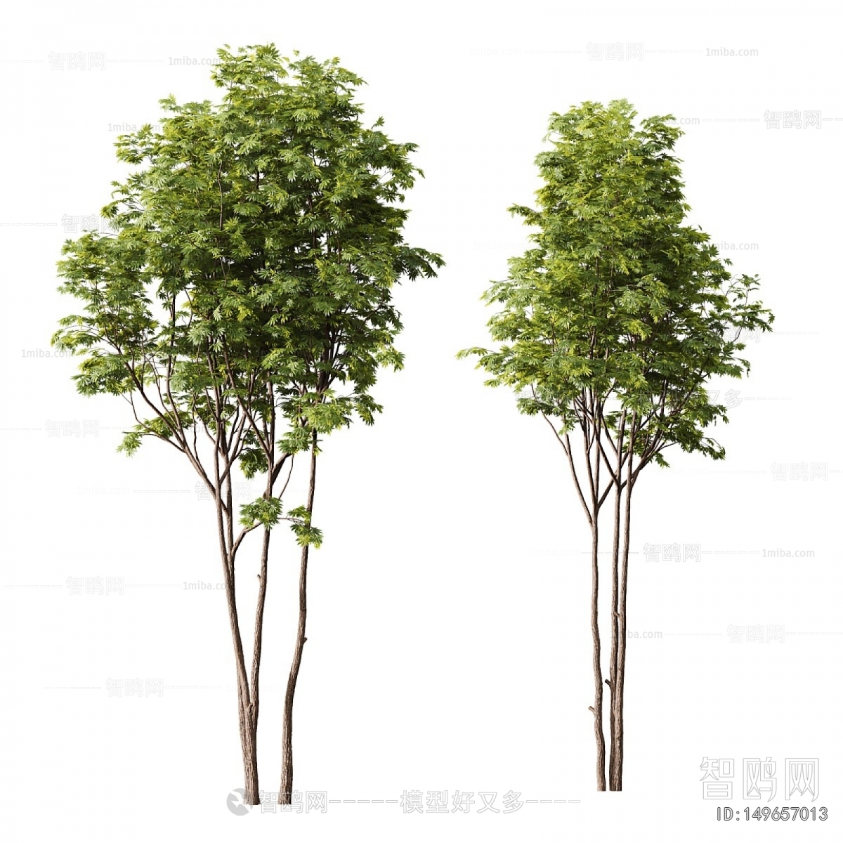 Modern Tree