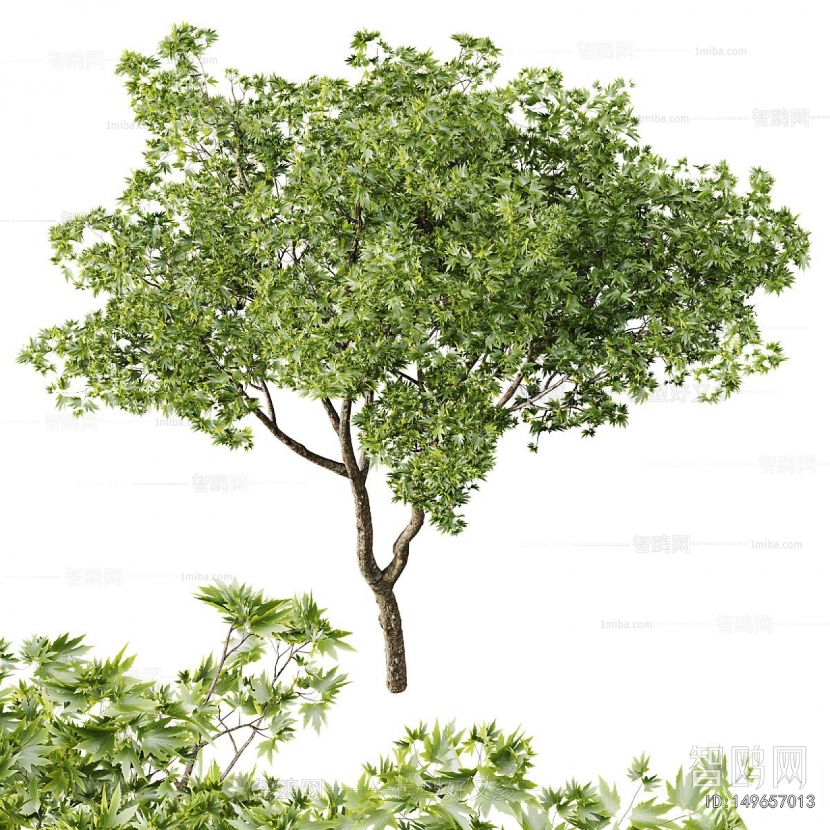 Modern Tree