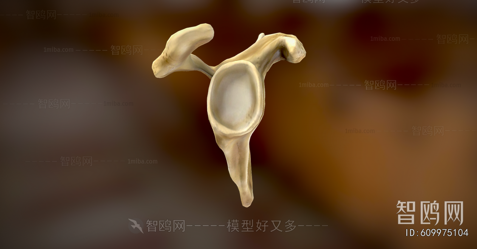 Modern Medical Equipment