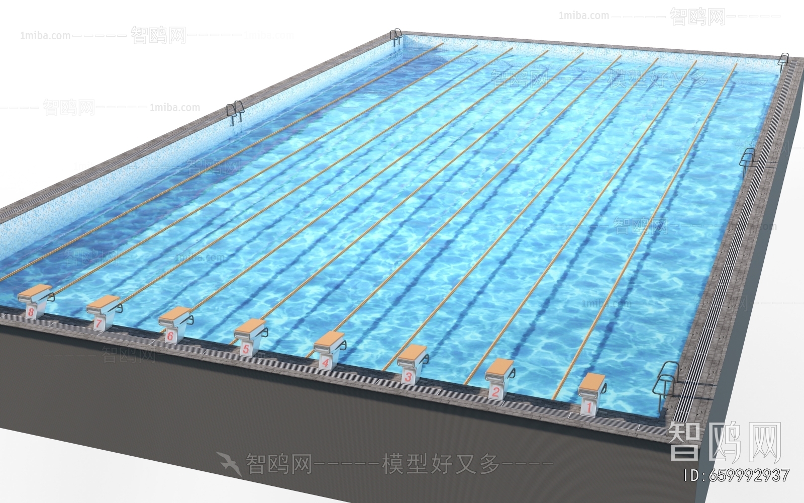 Modern Swimming Pool
