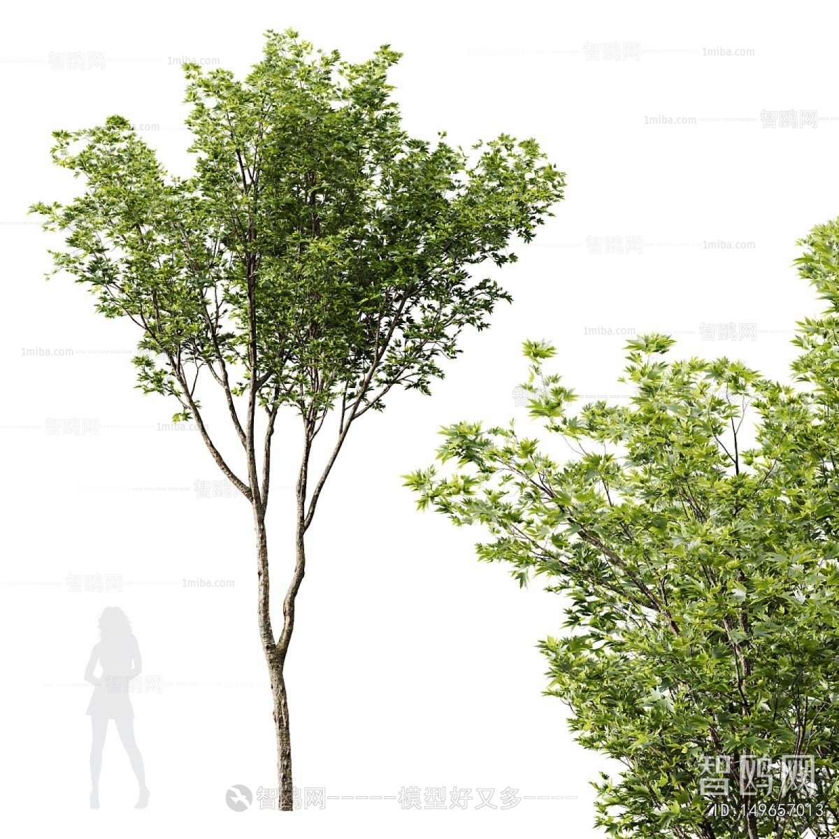 Modern Tree