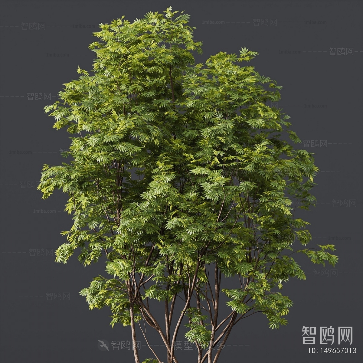 Modern Tree