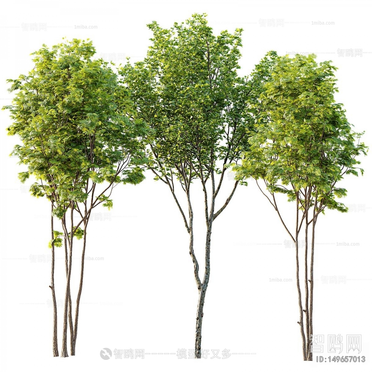 Modern Tree