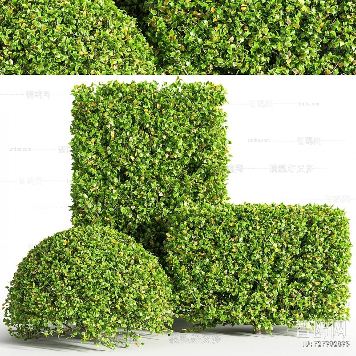 Modern Shrubbery