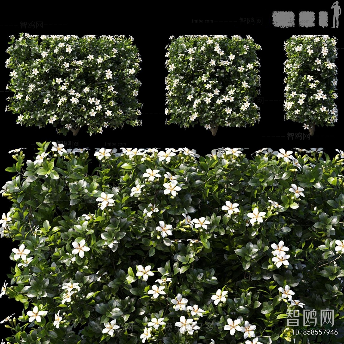 Modern Shrubbery