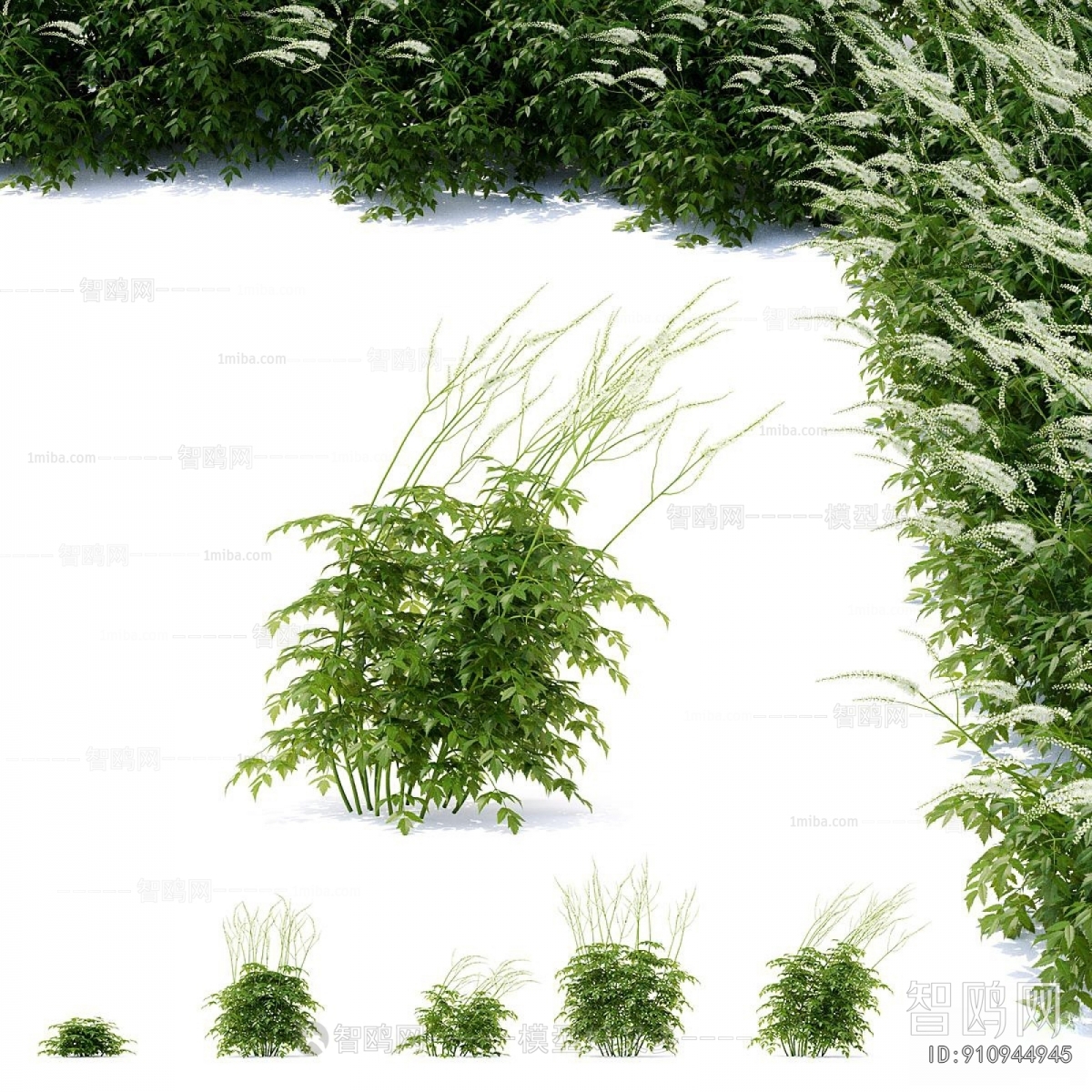 Modern Flowers And Grass