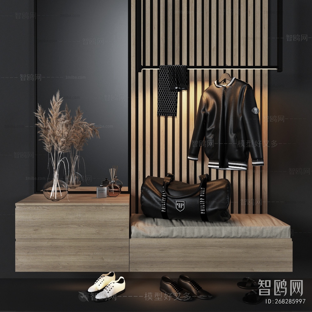 Modern Shoe Cabinet