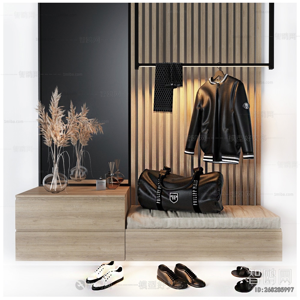 Modern Shoe Cabinet