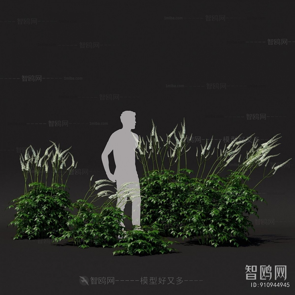 Modern Flowers And Grass