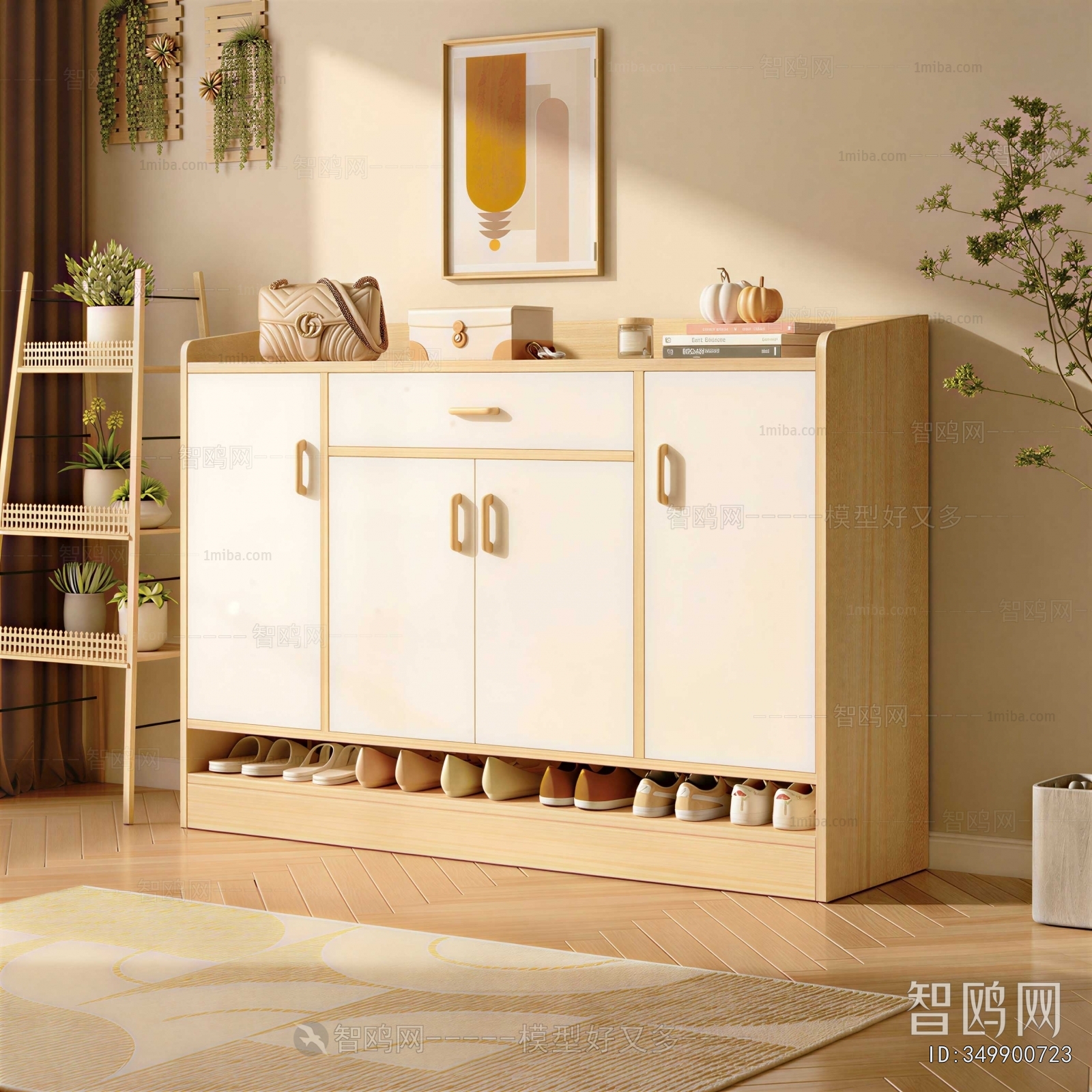 Modern Shoe Cabinet