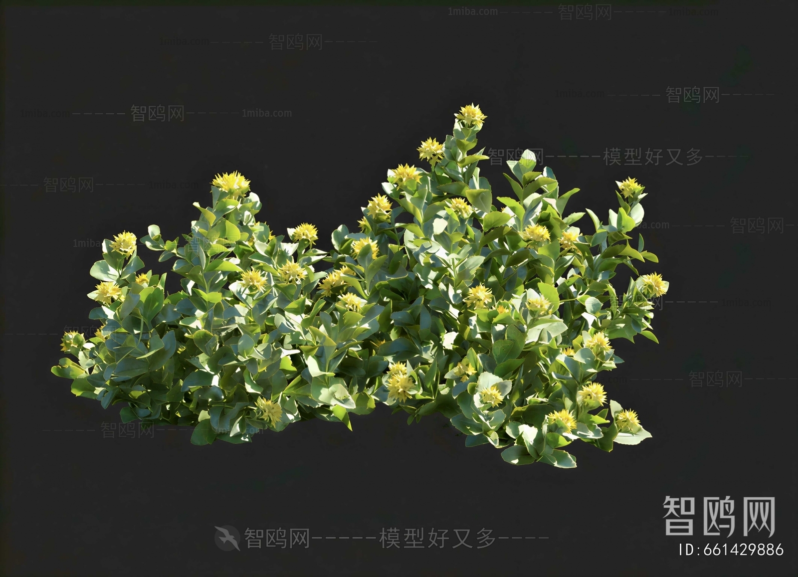 Modern Shrubbery