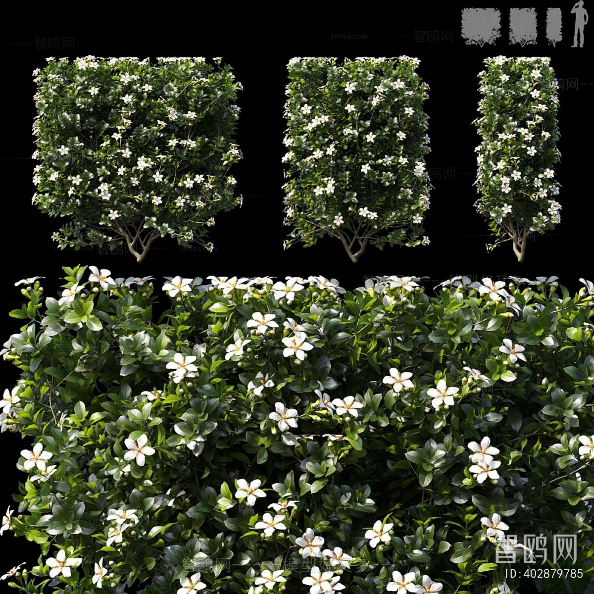 Modern Shrubbery
