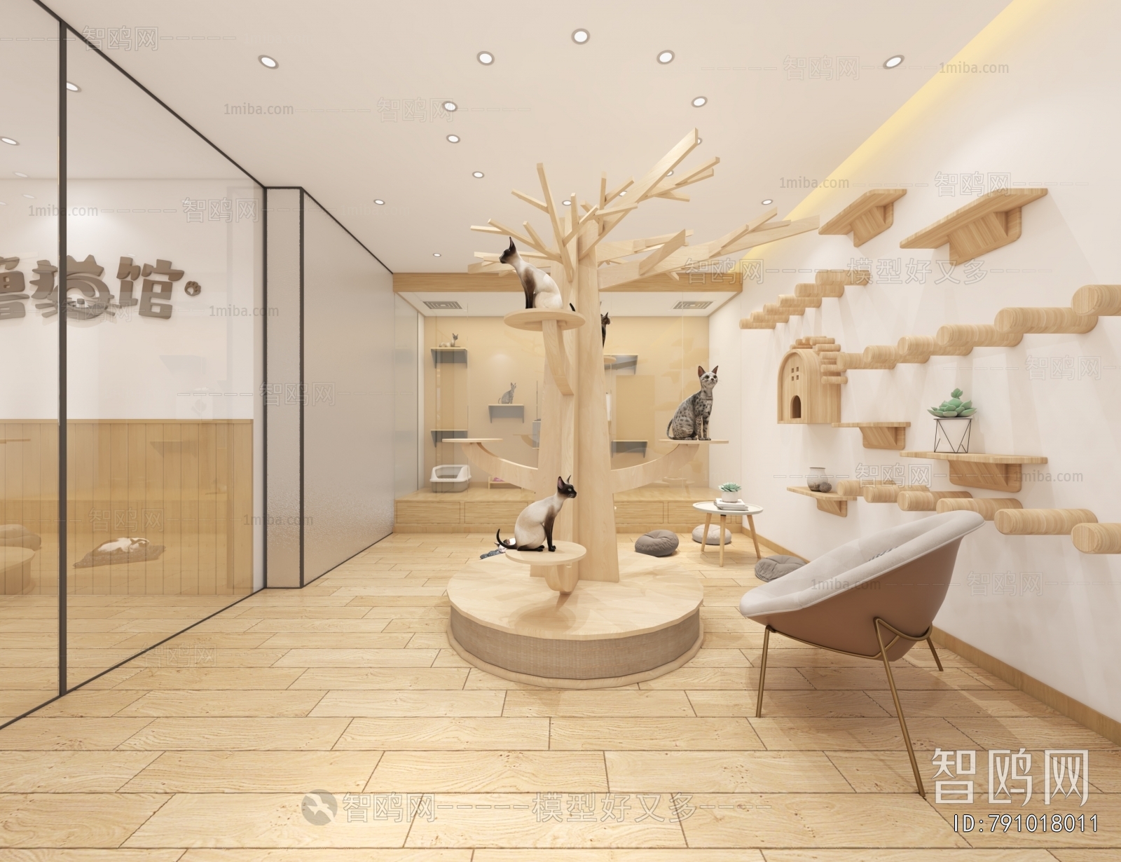Modern Pet Shop