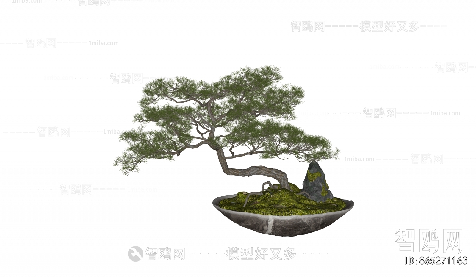 Modern Bonsai