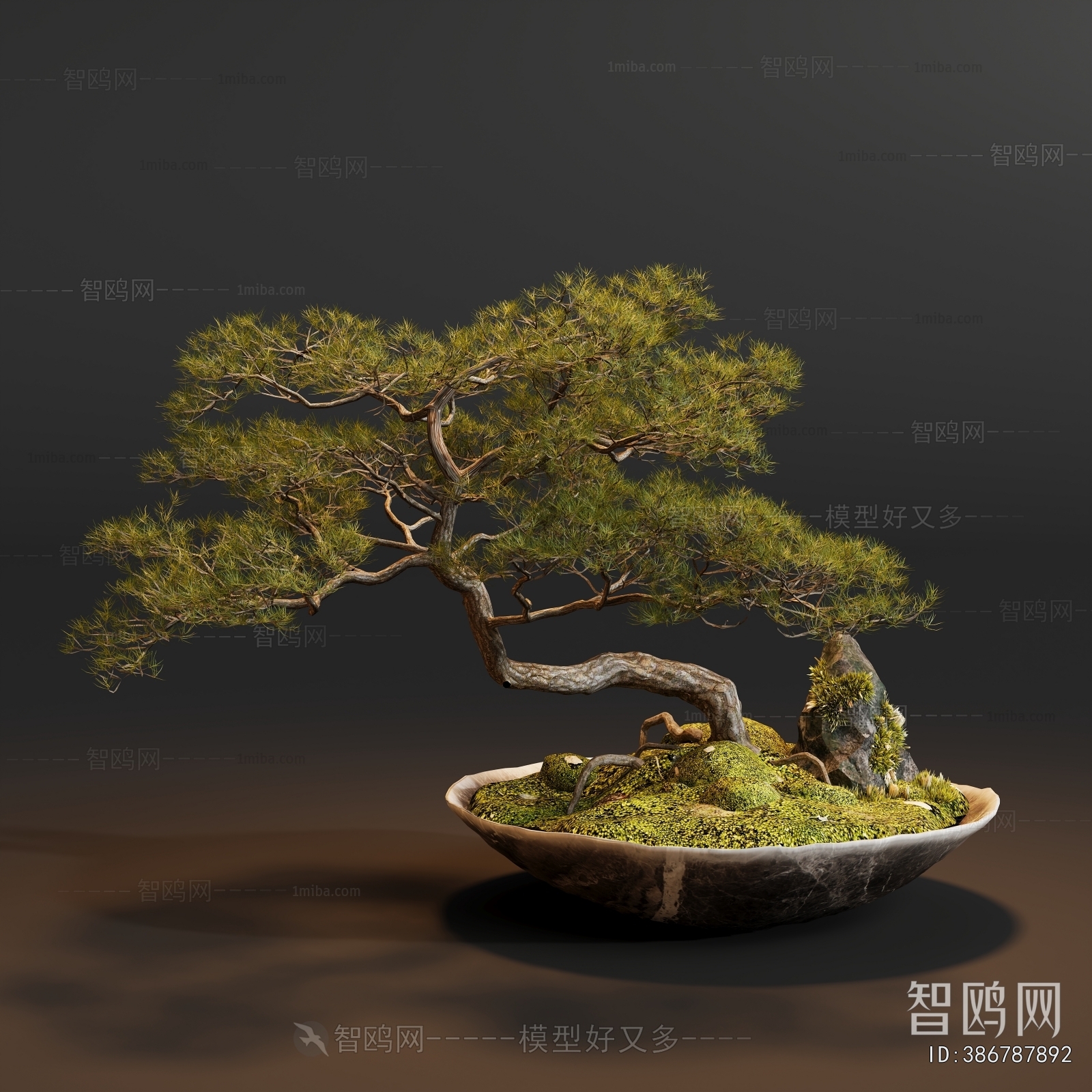 Modern Bonsai
