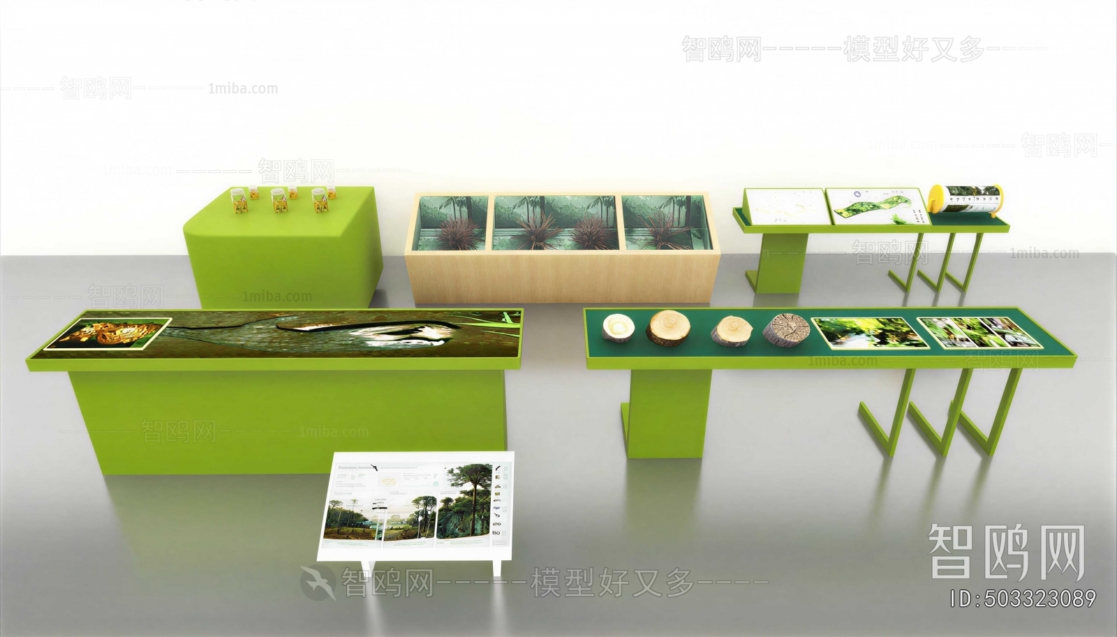 Modern Showcase
