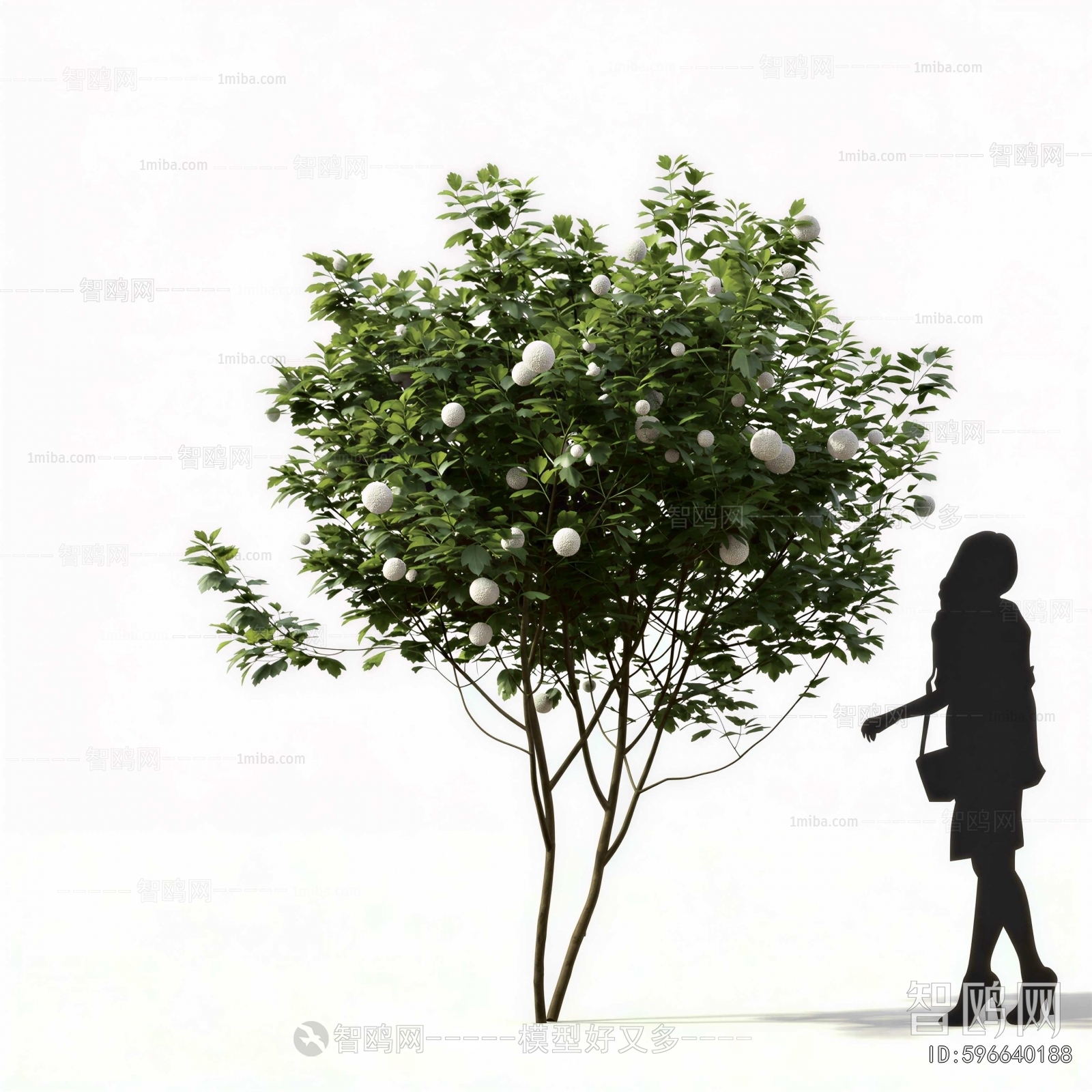 Modern Shrubbery