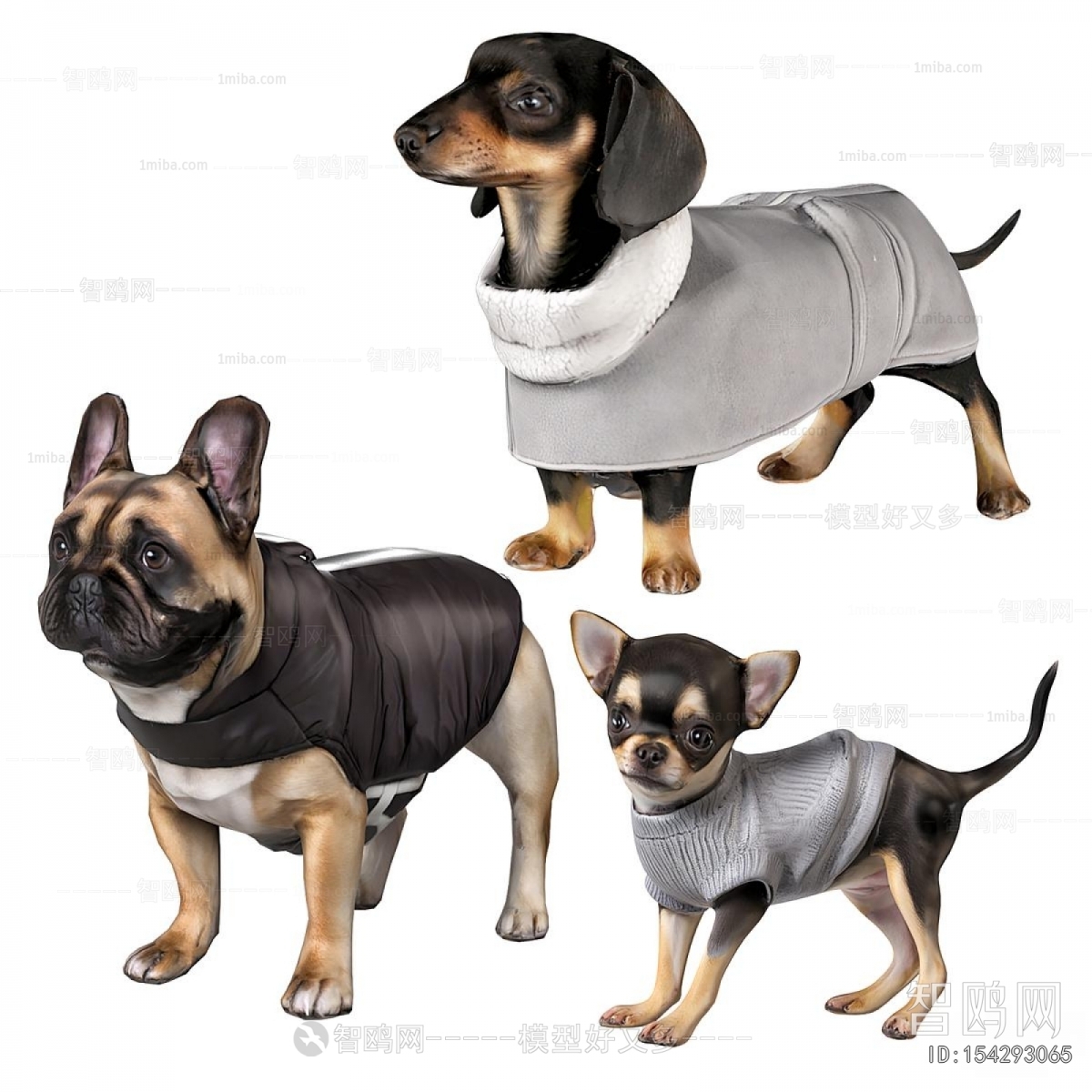 Modern Animal Dog
