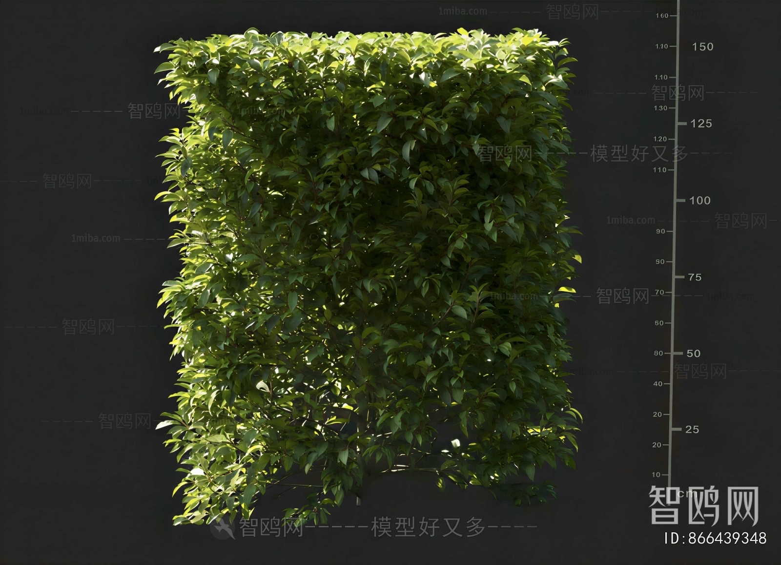 Modern Plant Wall
