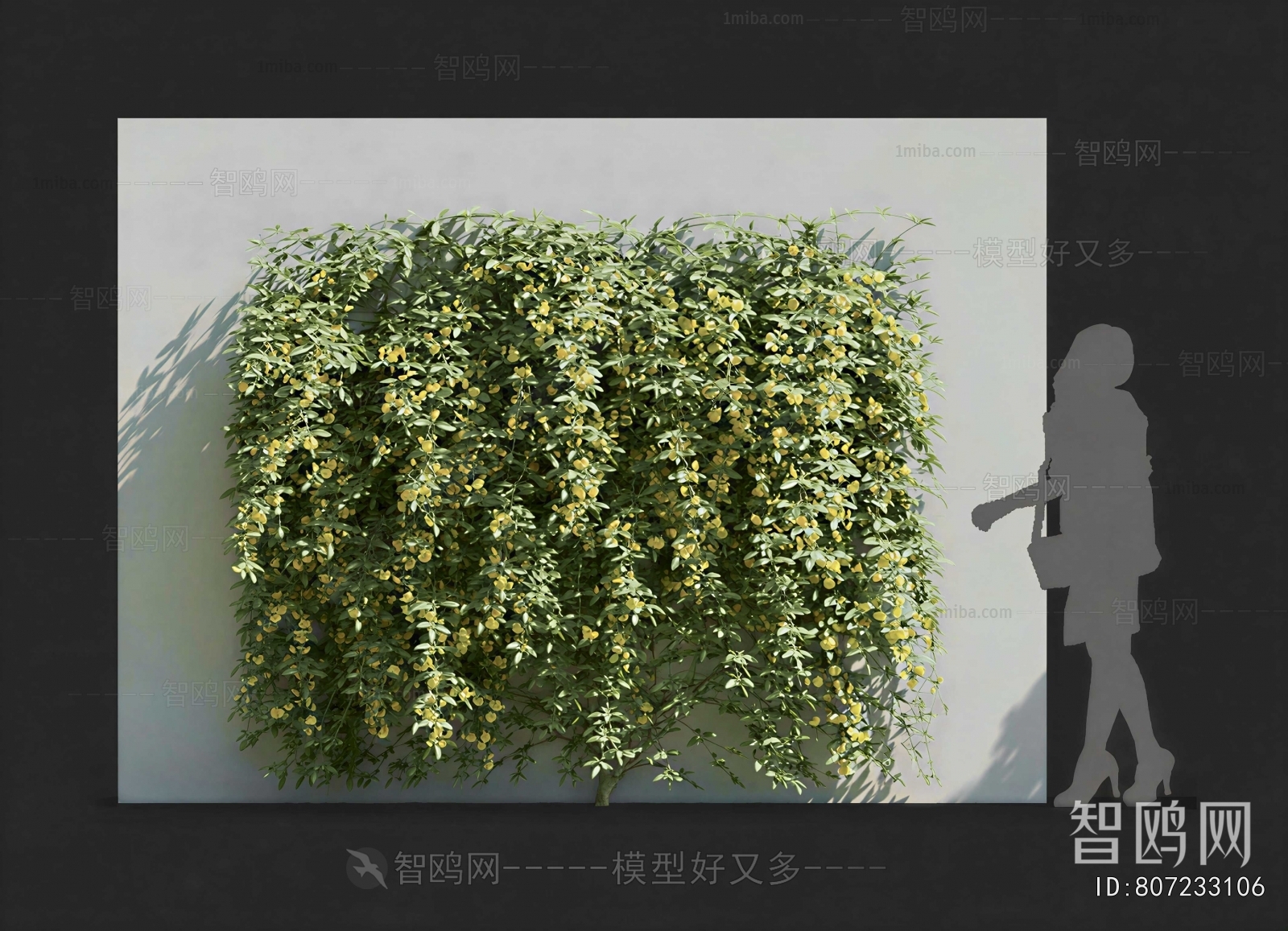 Modern Plant Wall