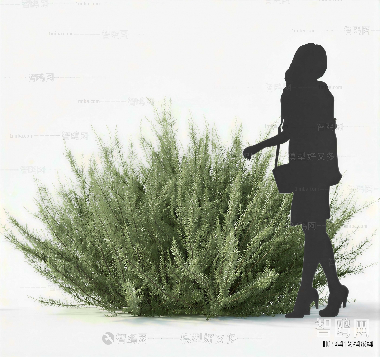 Modern Shrubbery