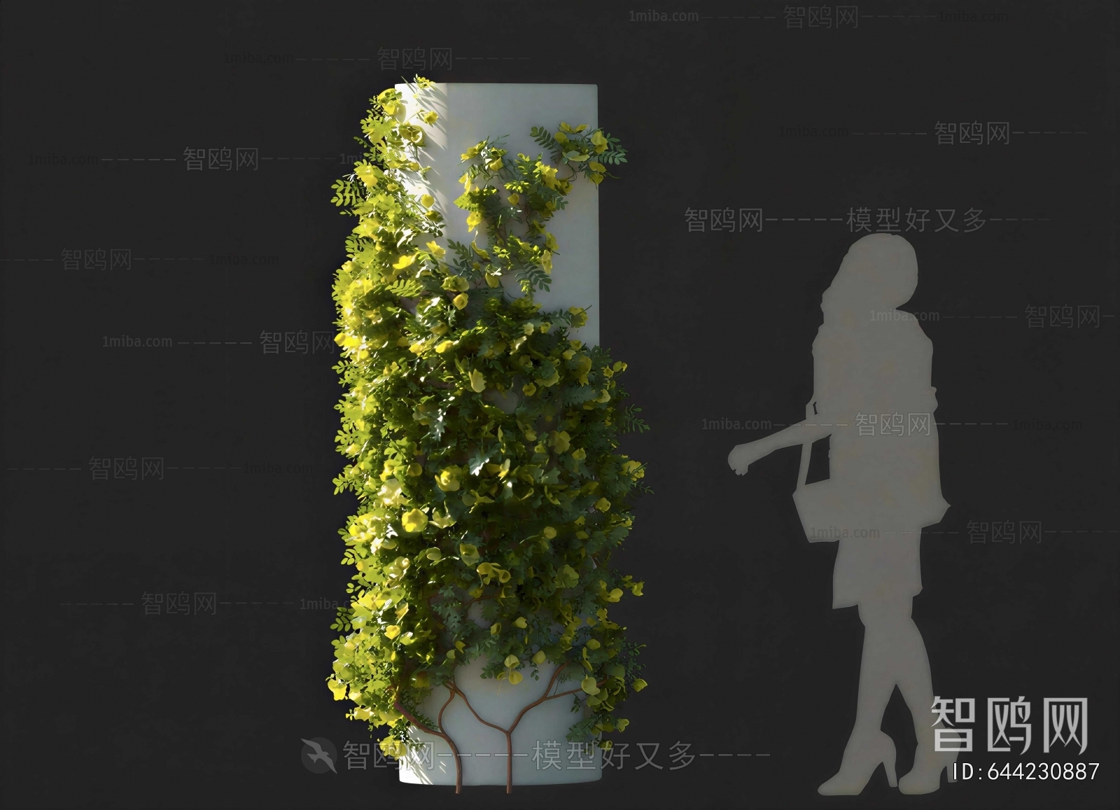 Modern Vine