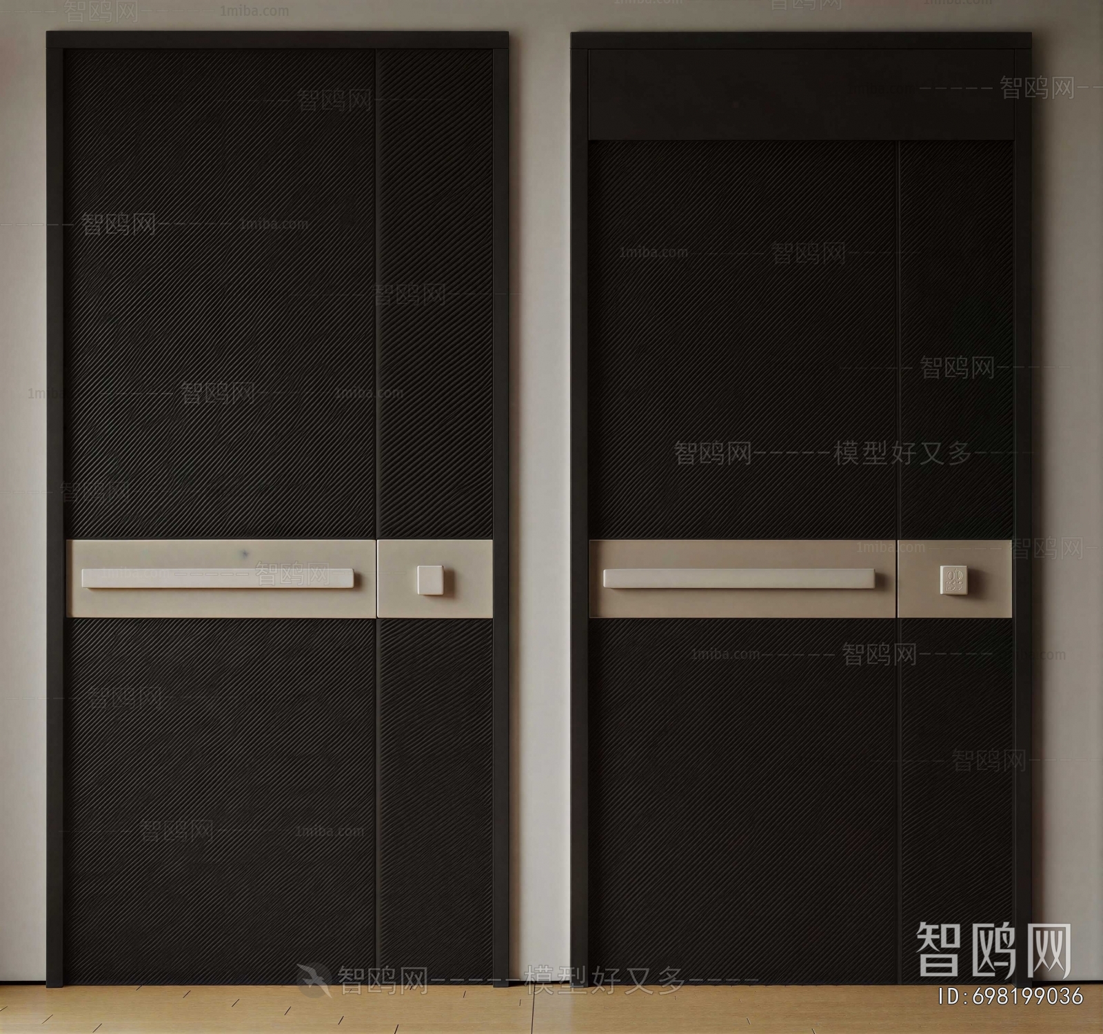 Modern Entrance Door