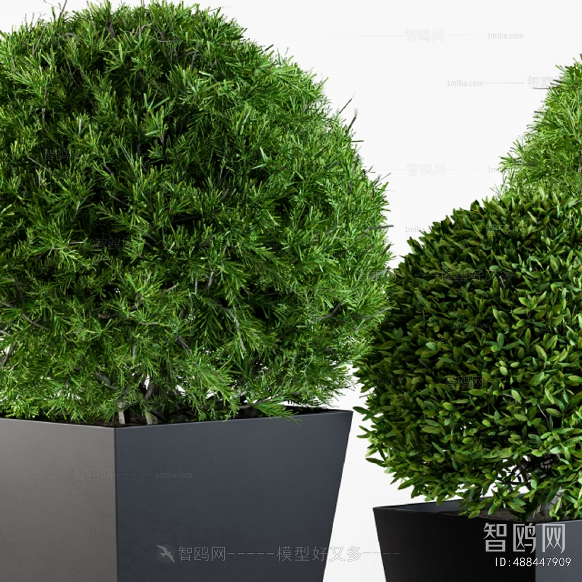 Modern Flower Bed, Flower Bowl, Flower Box