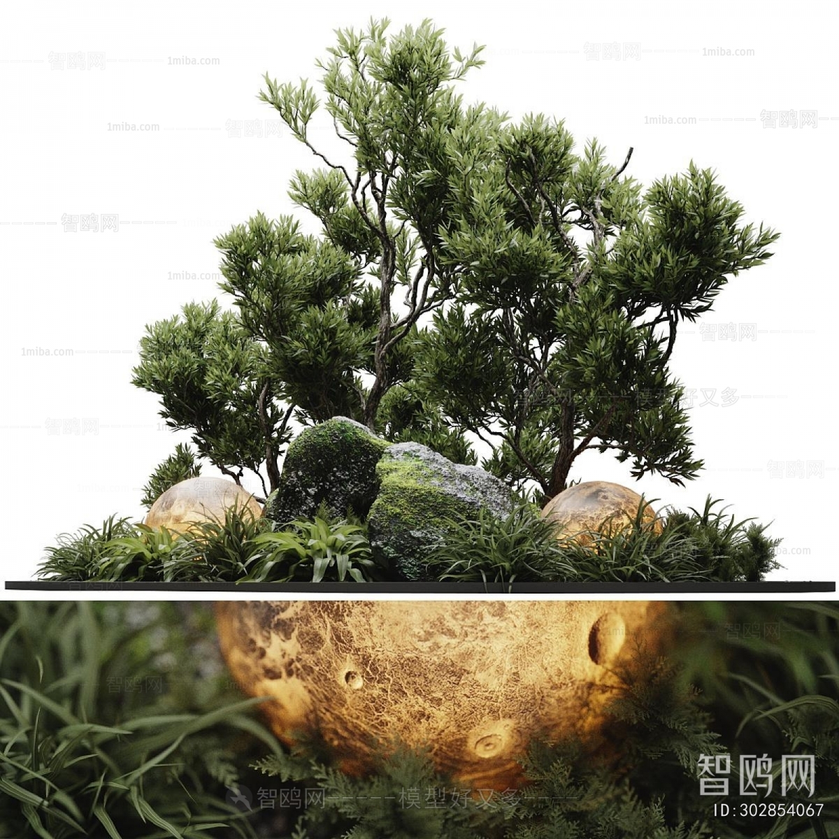 Modern Plant Landscaping