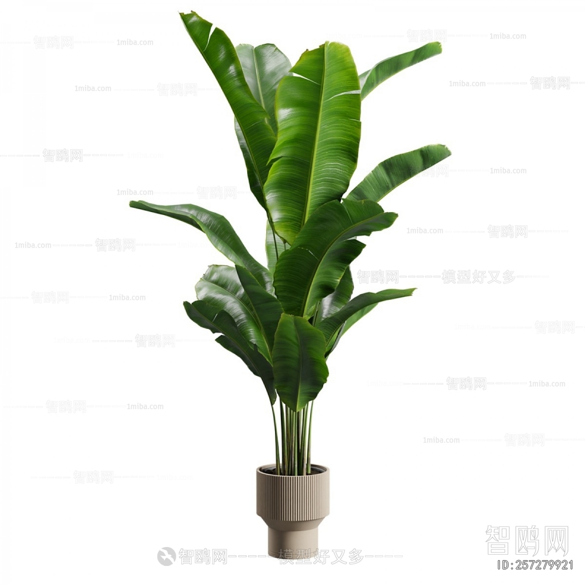 Modern Ground Green Plant Potted Plants