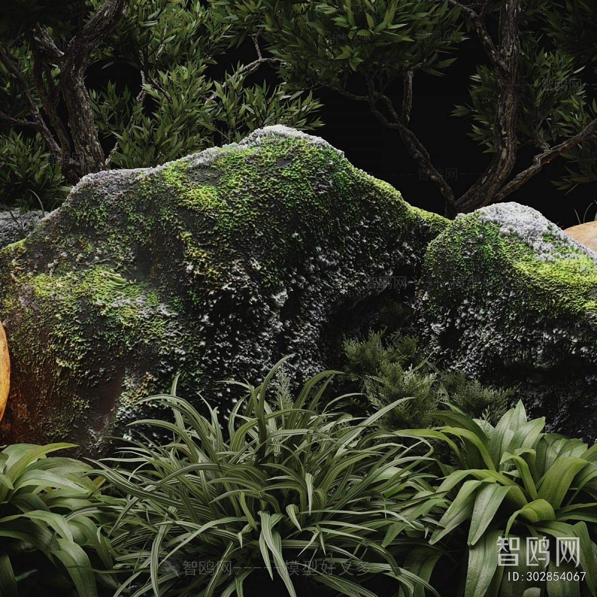 Modern Plant Landscaping