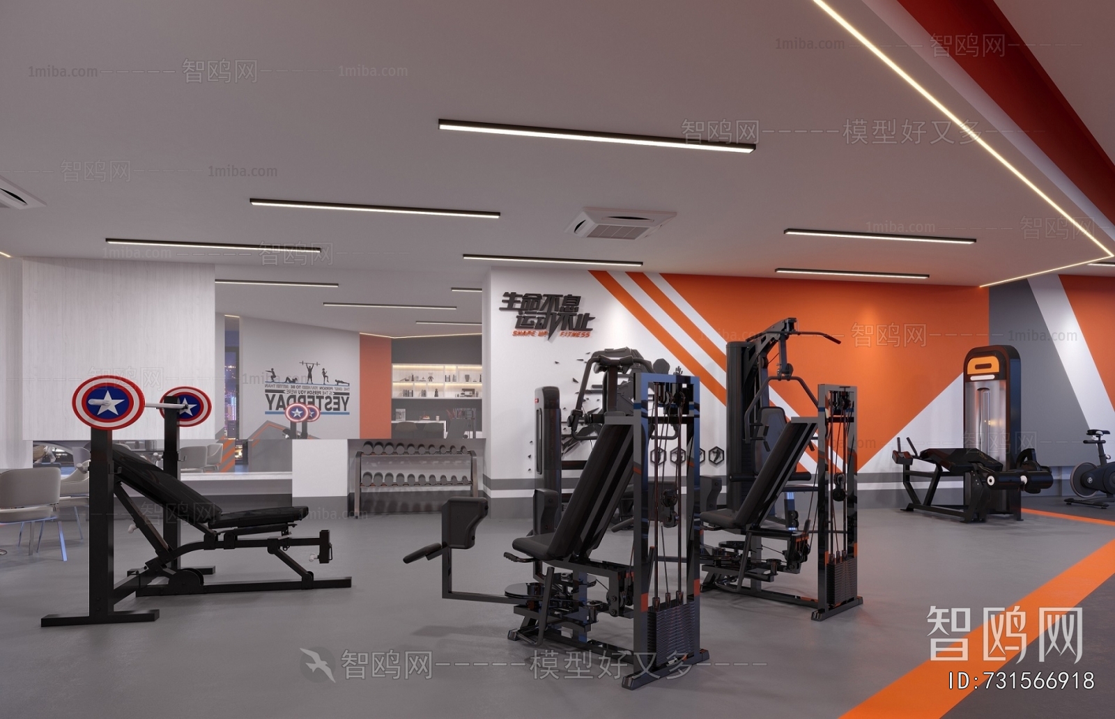 Modern Gym