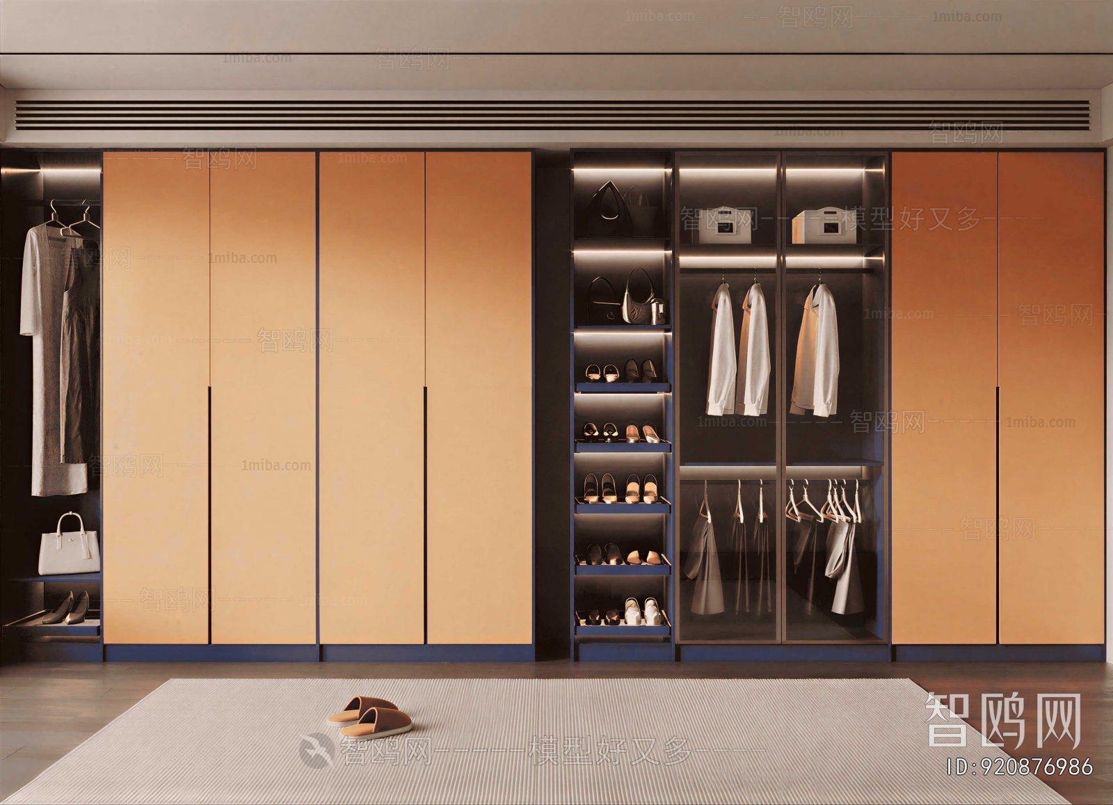 Modern Clothes Storage Area
