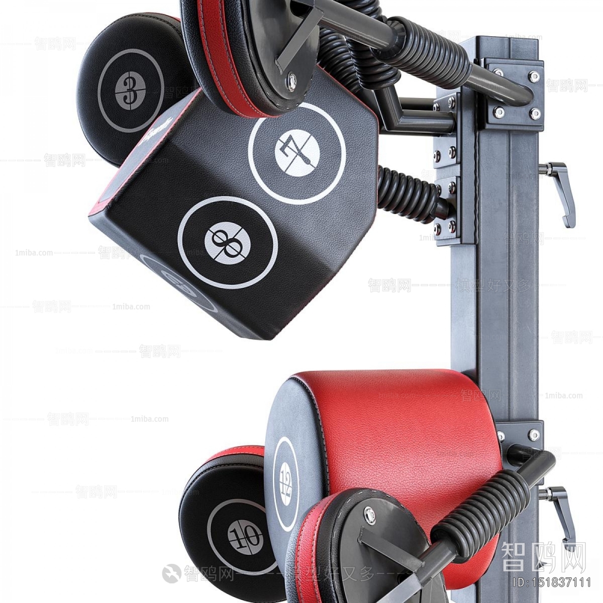 Modern Fitness Equipment