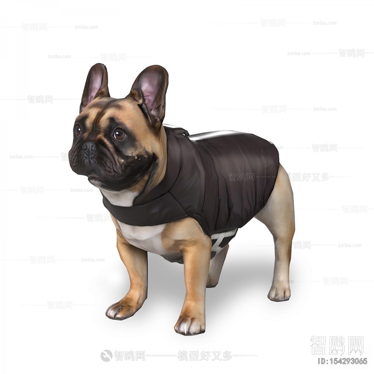 Modern Animal Dog