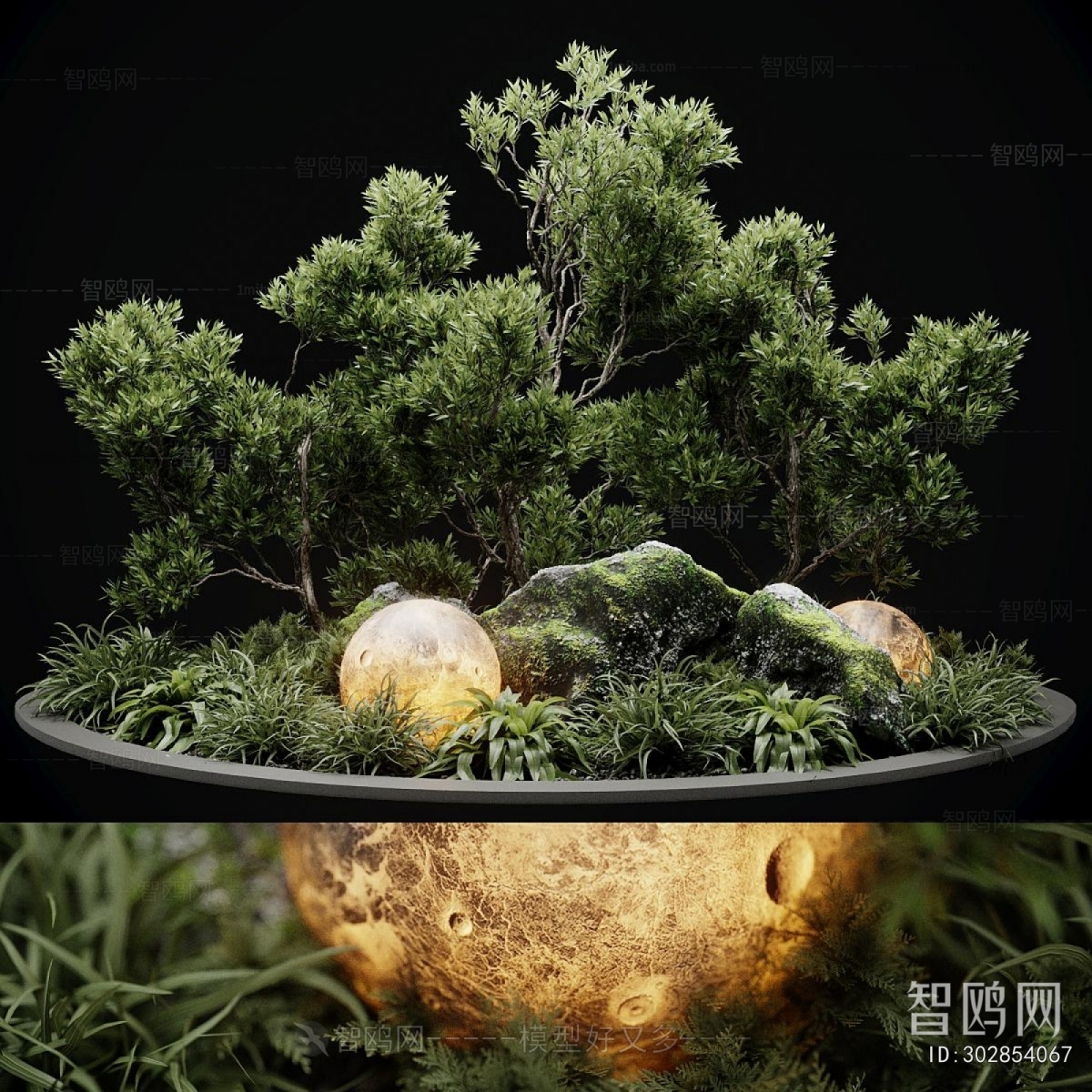 Modern Plant Landscaping