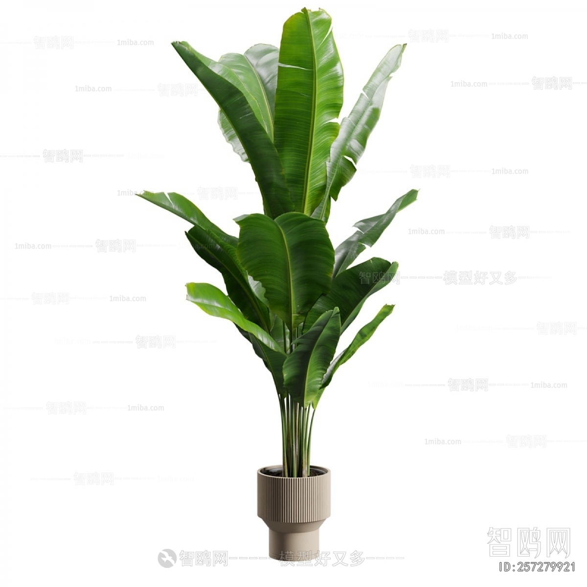 Modern Ground Green Plant Potted Plants