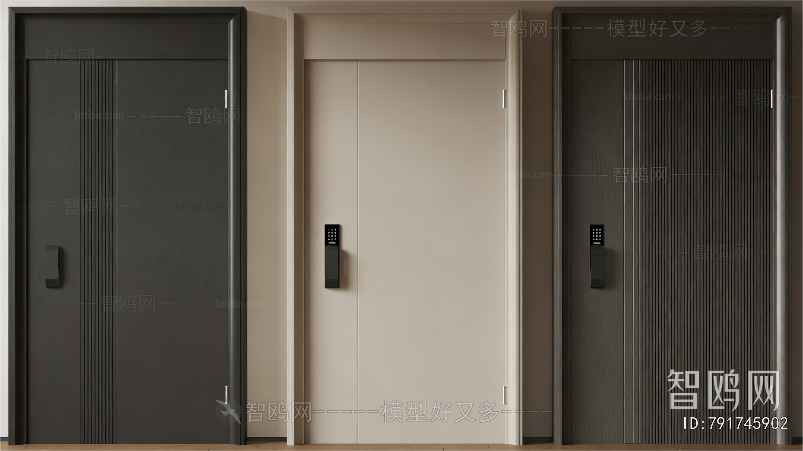 Modern Entrance Door